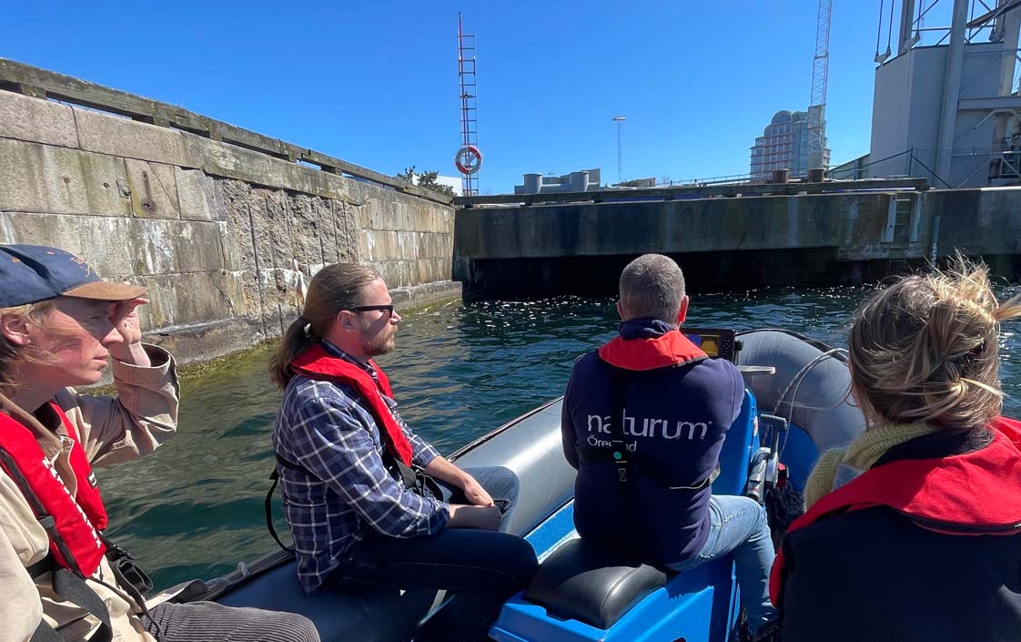 Urbio arbetar med naturbaserade lösningar längs kajer i Malmö